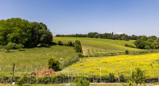 Visiter Blaye en famille