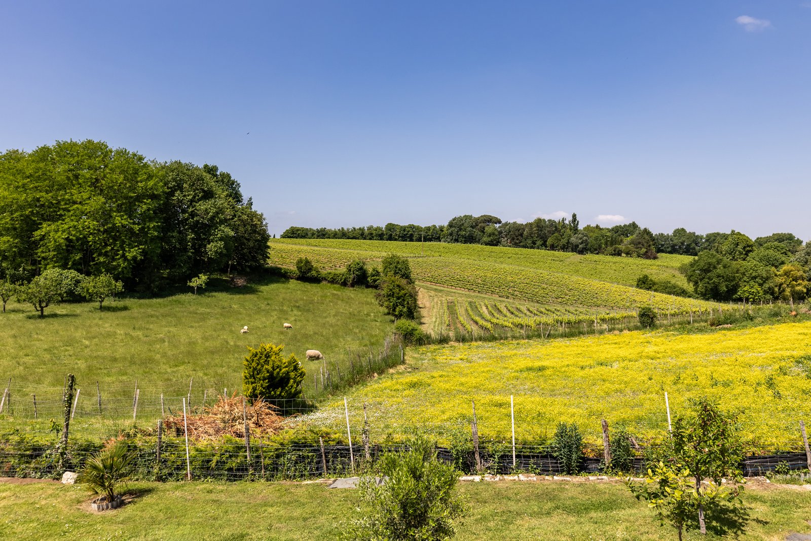 Lire la suite à propos de l’article Quelle capacité choisir pour une location de groupe en Gironde