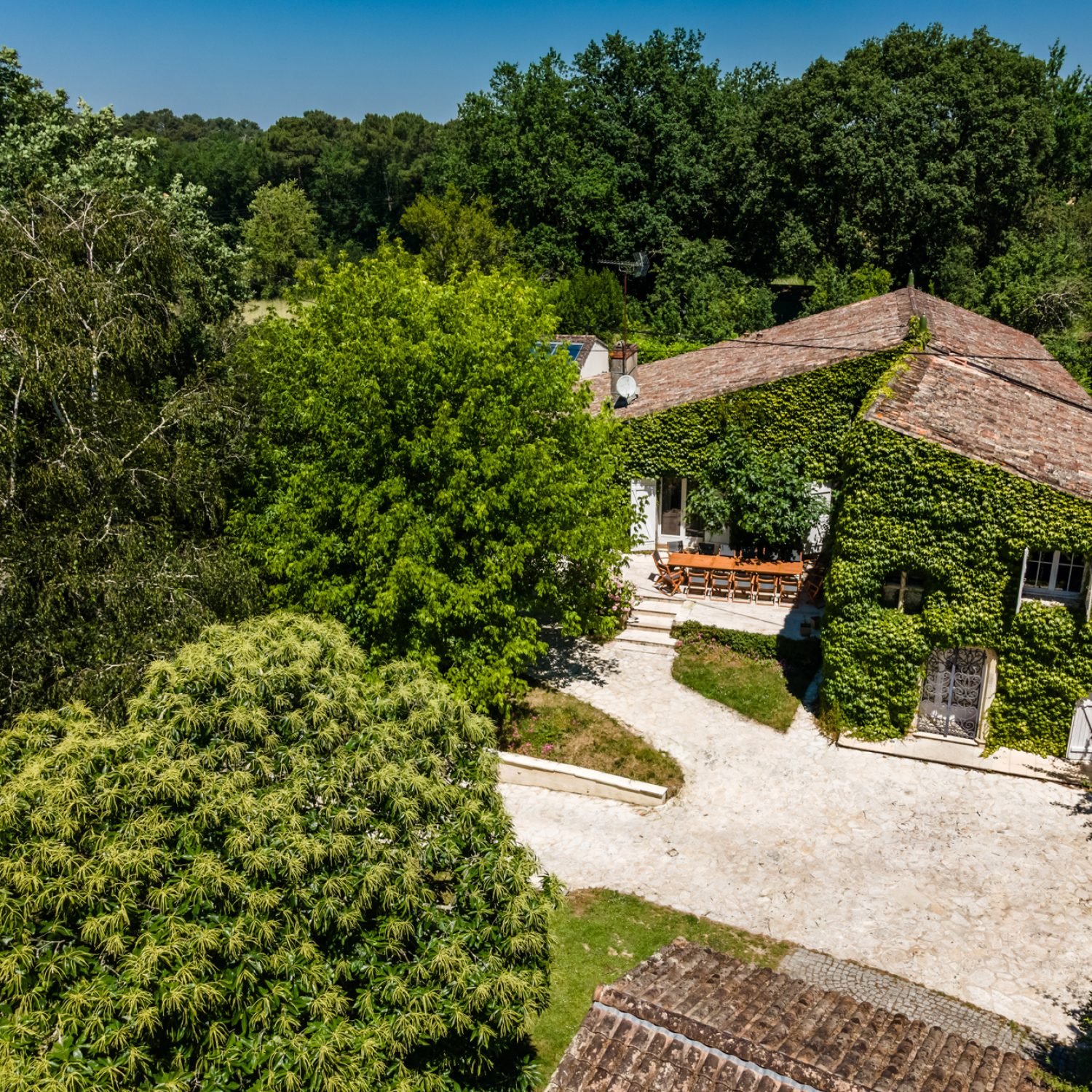DJI_0855